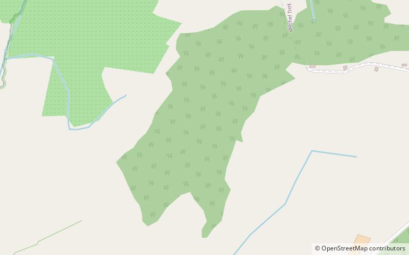 Gaer Wood location map