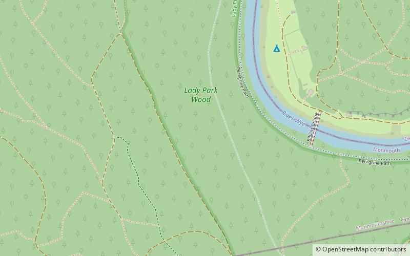 Lady Park Wood National Nature Reserve location map