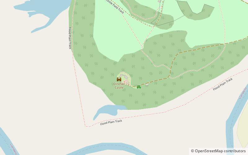 Castillo de Dinefwr location map