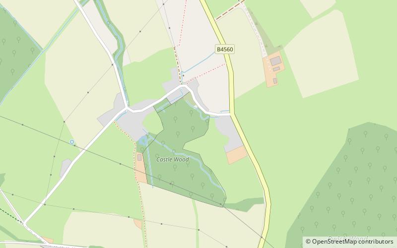Blaenllynfi Castle location map