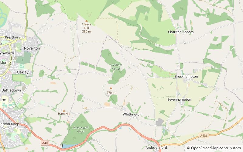 Puckham Woods location map