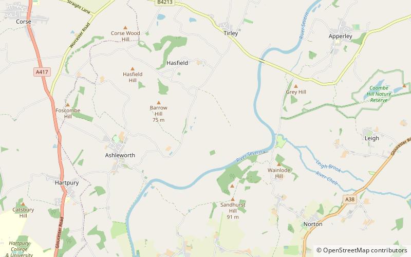 Ashleworth Ham location map