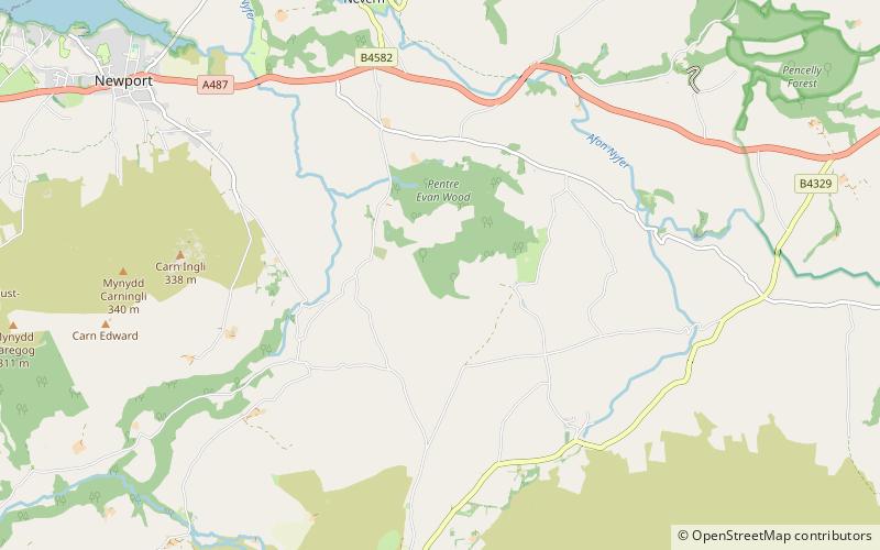 Tŷ Canol Wood location map