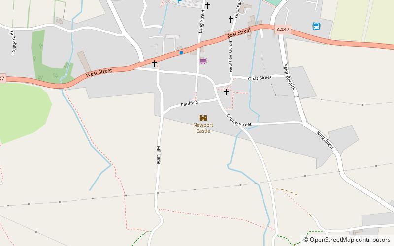 Newport Castle location map