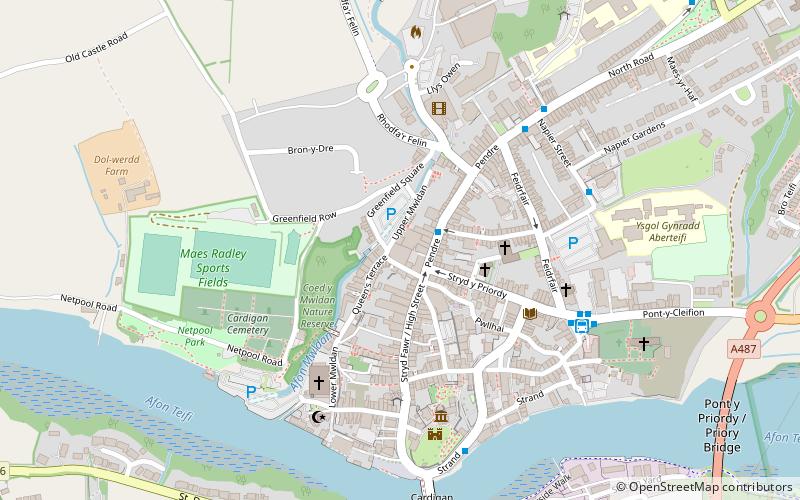 Cardigan Guildhall Market location map