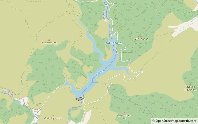Llyn Brianne location map