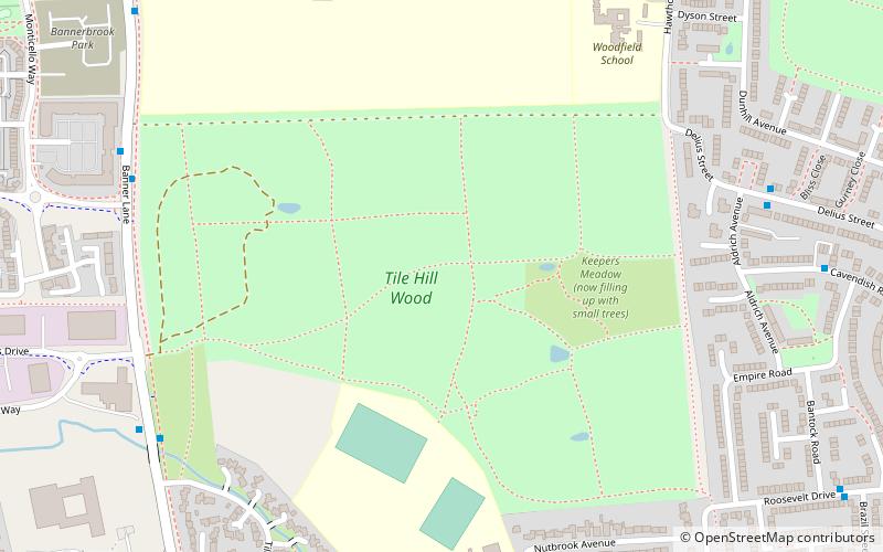 Tile Hill Wood location map