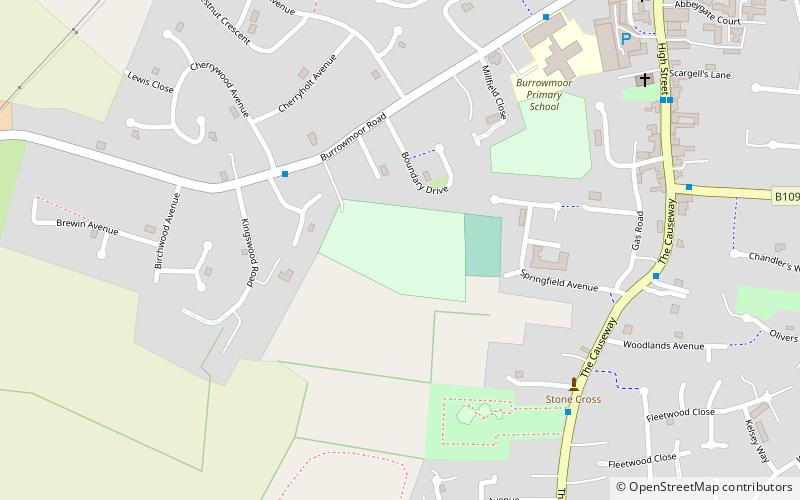 The Avenue Sports Club Ground location map