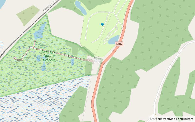 Cors Dyfi location map