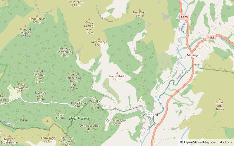 moel y ffridd dinas mawddwy location map