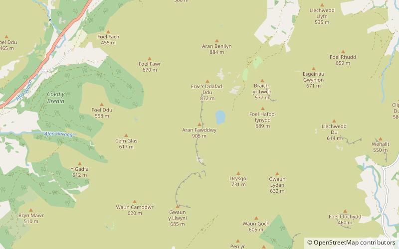 Aran Fawddwy location map