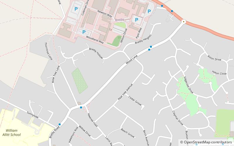 bees swadlincote location map