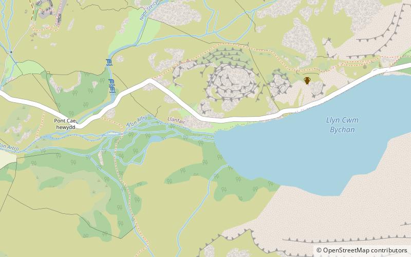 Llyn Cwm Bychan location map
