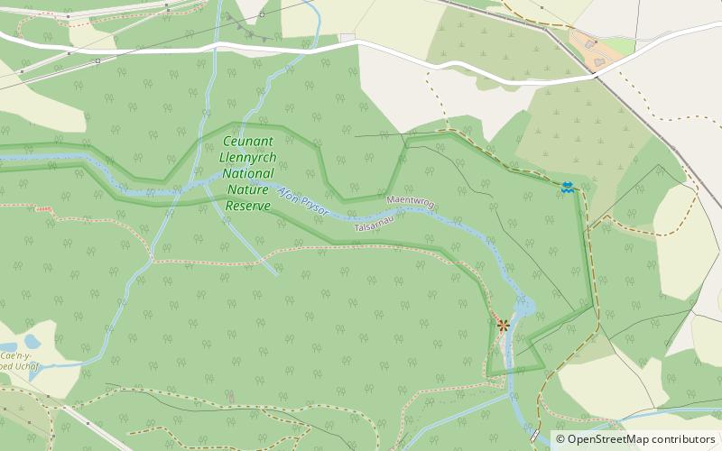 Ceunant Llennyrch National Nature Reserve location map