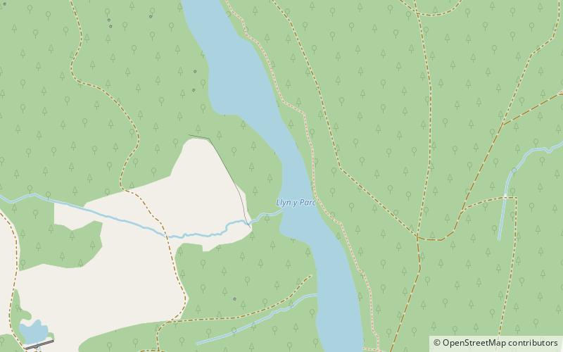 Llyn Parc location map