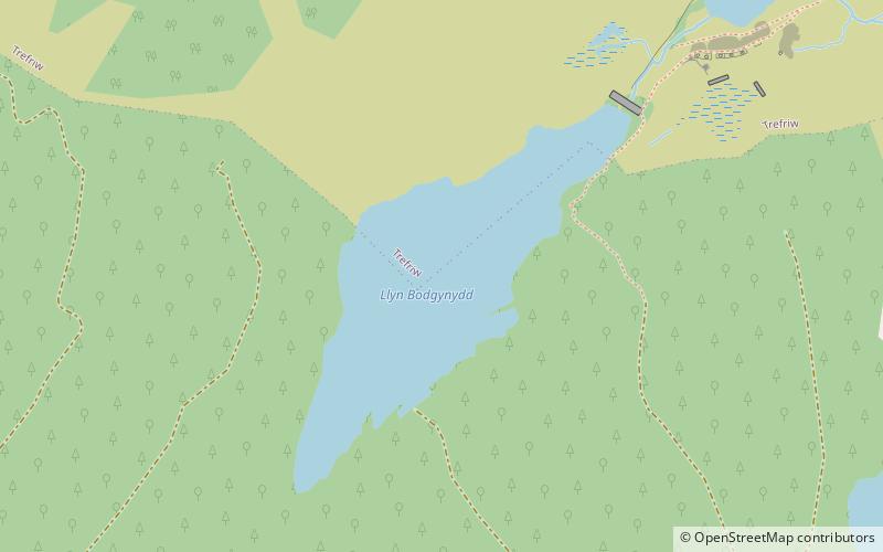 Llyn Bodgynydd location map