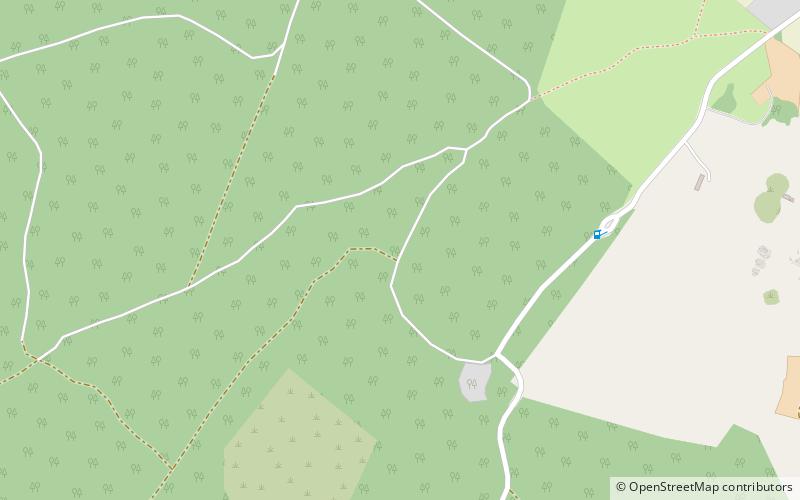 Newborough Forest location map