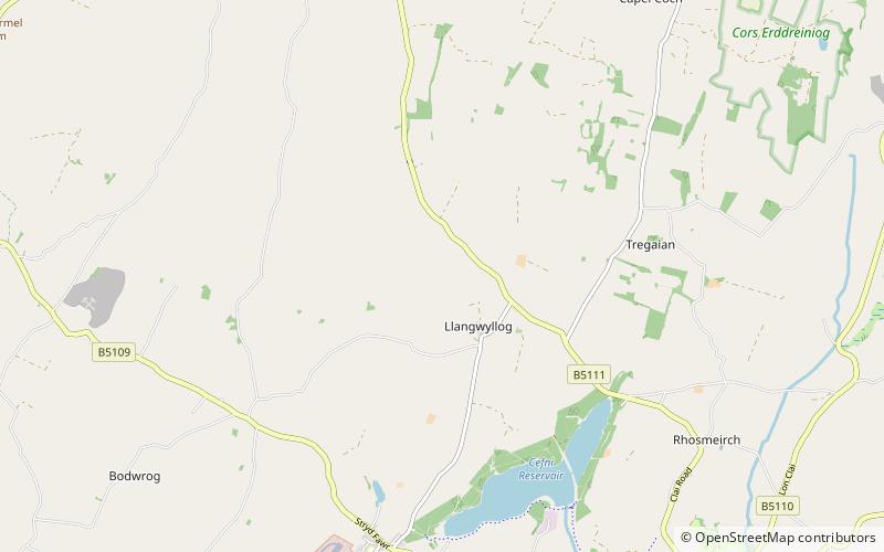 St Cwyllog's Church location map