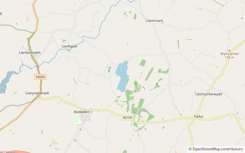 Llyn Llywenan location map