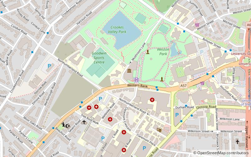 Weston Park Museum location map