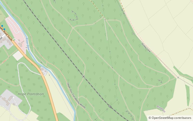 Beeley Wood location map