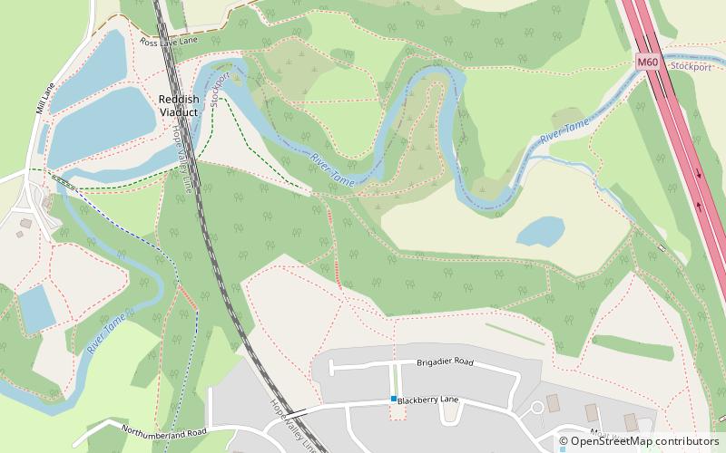 Reddish Vale location map