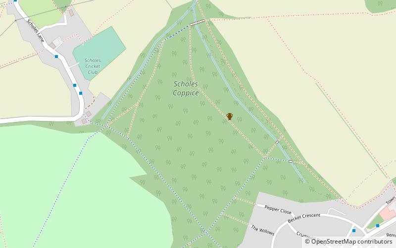 Scholes Coppice location map