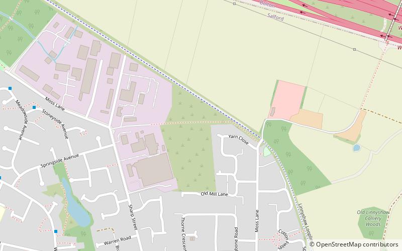 linnyshaw tyldesley location map