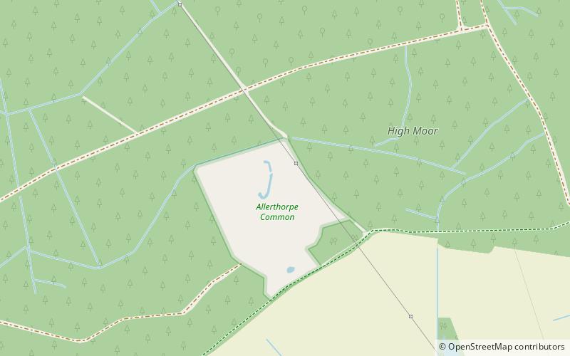 Allerthorpe Common location map