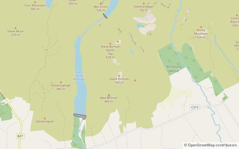 Slieve Binnian location map