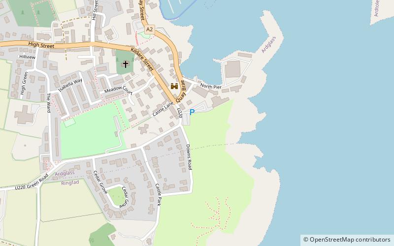 Ardglass Castle location map