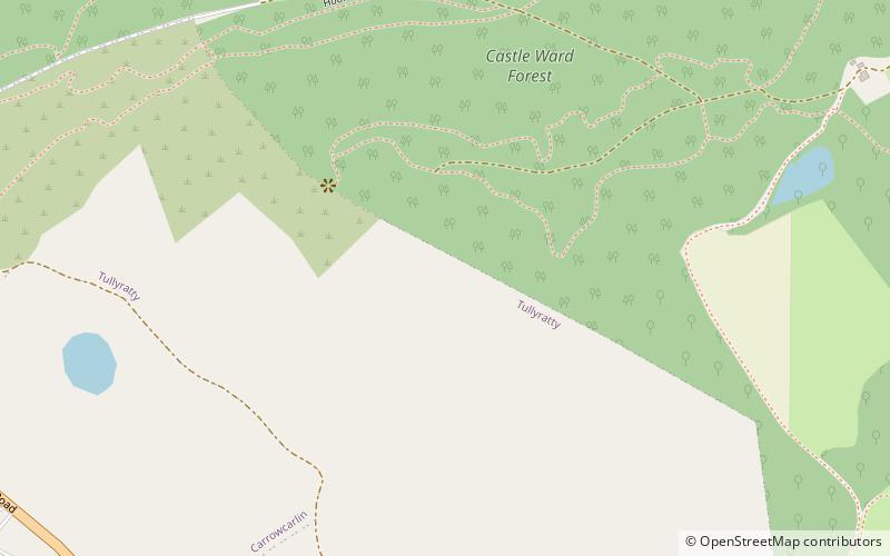 castleward forest location map