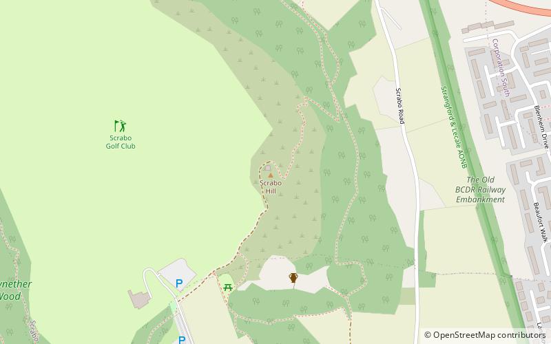 Scrabo Tower location map