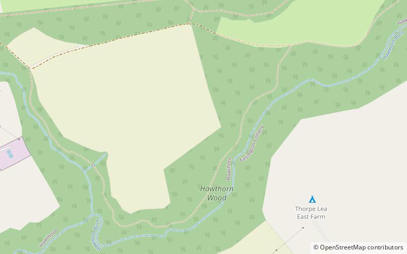 Hawthorn Dene location map