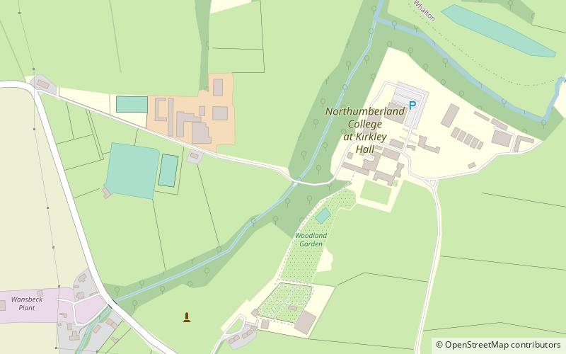 Kirkley Hall location map