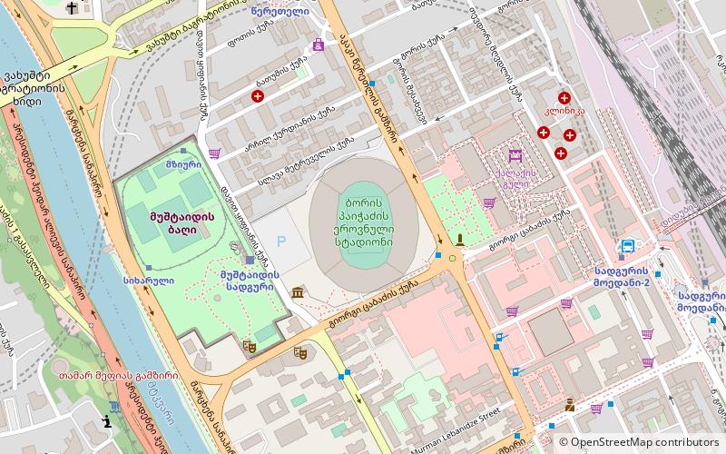 Boris Paichadze Dinamo Arena location map