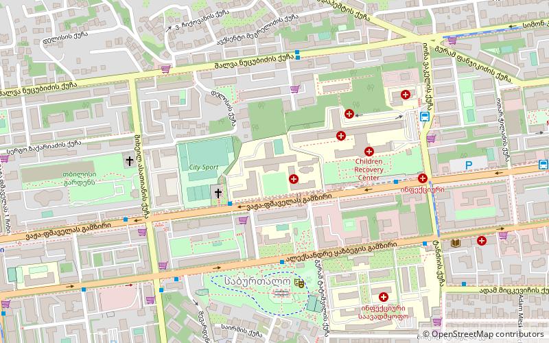 Tbilisi State Medical University location map