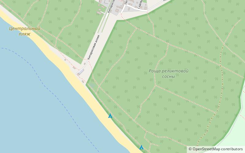 central beach pitsunda location map