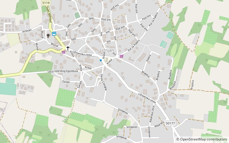 Ližnjan location map