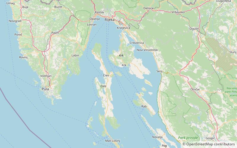 Plavnik location map