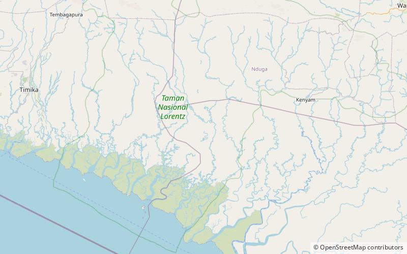 Asmat Swamp location map