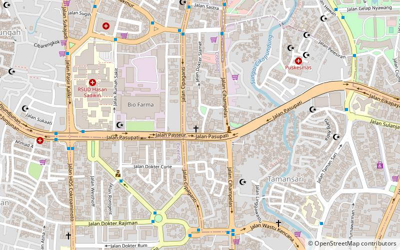 pasteur institute bandung location map
