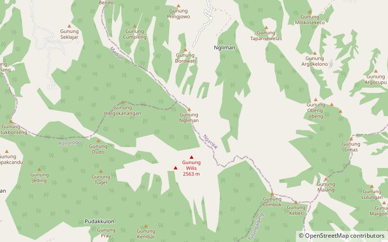 Mount Wilis location map