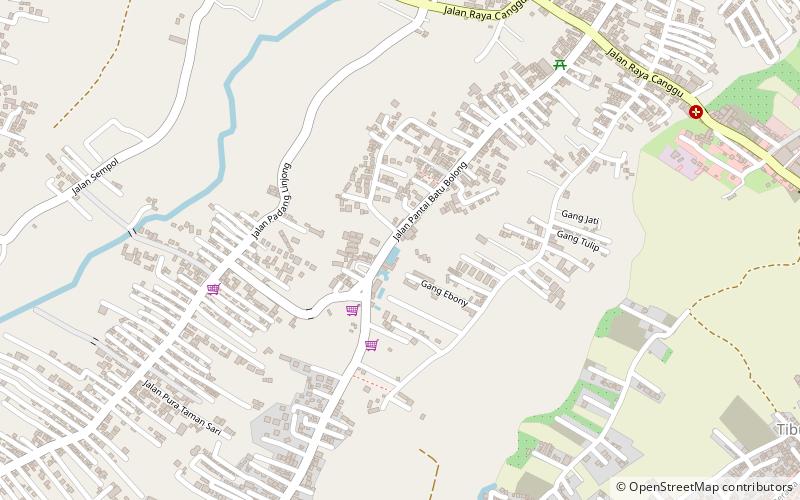 canggu avenue denpasar location map