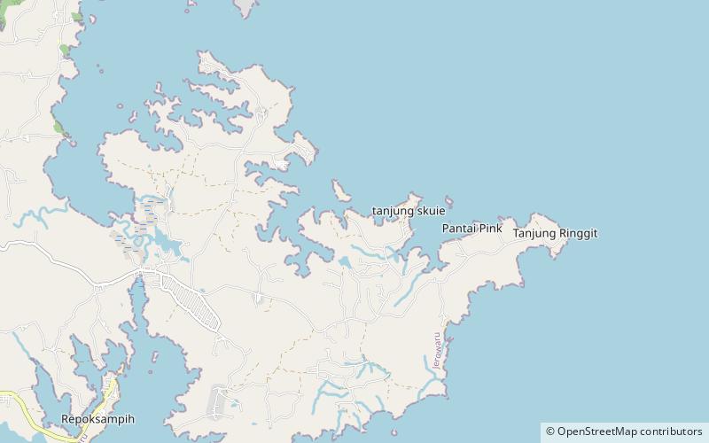 tanjung ringgit lombok location map