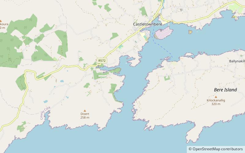 Dunboy Castle location map