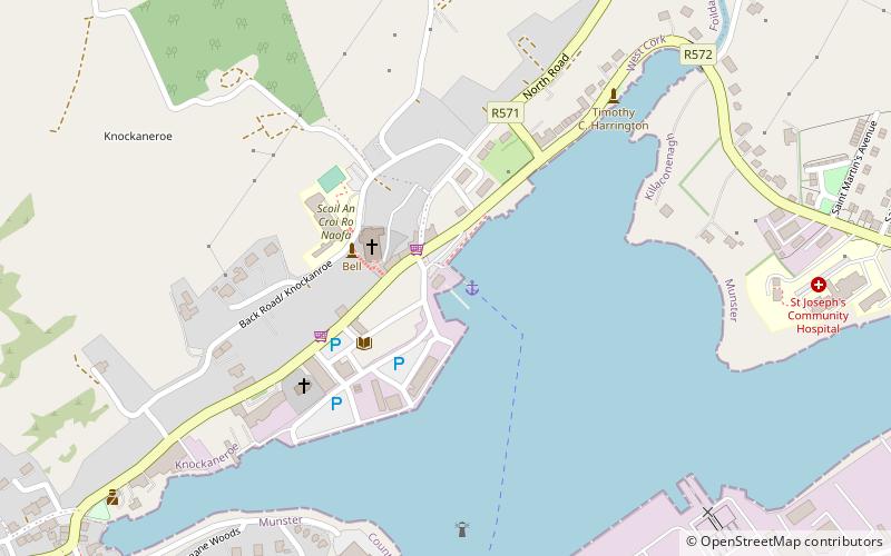 irish red cross bantry branch castletownberehaven location map