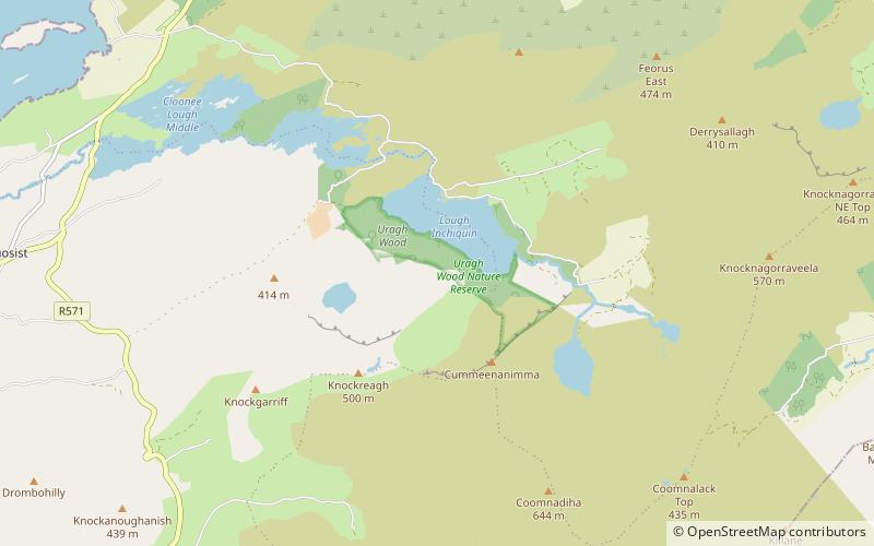 Uragh Wood location map