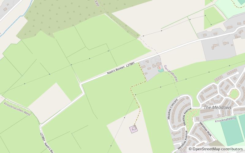 Shandon Castle location map