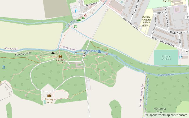 the witch stone blarney location map